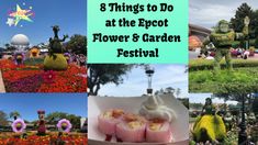 the epcot flower and garden festival is in full bloom