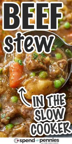 beef stew in the slow cooker with text overlay that reads beef stew in the slow cooker