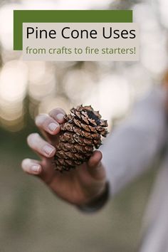 a person holding a pine cone with the words pine cone uses from crafts to fire starterrs