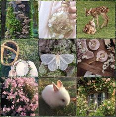 many different pictures of animals and flowers in the grass, including an animal with wings