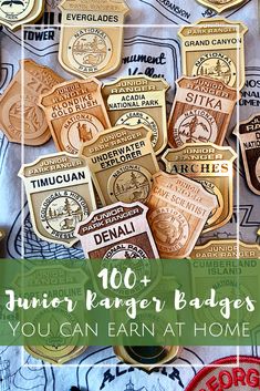 some badges that have been placed on top of each other with the words, 100 + junior ranger badges you can learn at home