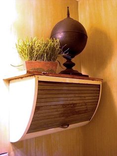 a potted plant sitting on top of a wooden shelf next to a wall light