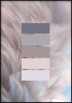 an image of some white feathers with grey and beige colors on it's side