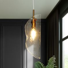 a glass light hanging from the ceiling in a room with black walls and plants on the table