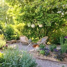 two lawn chairs sitting on top of a gravel ground next to trees and flowers in a garden