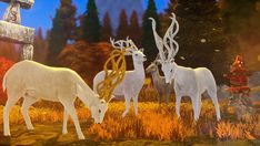 three white deer standing next to each other on a field