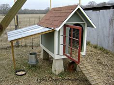 a chicken coop with a ladder to the side and a red door on it's side