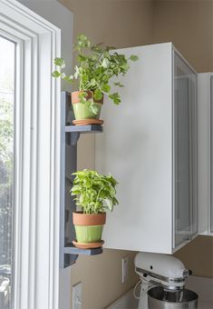 three potted plants are hanging on the wall in front of a kitchen sink and window