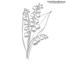 a drawing of some flowers that are on a white background with the words easy draw