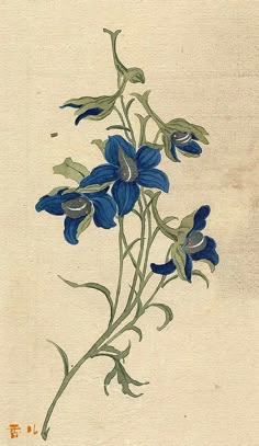 a drawing of blue flowers on a white background, with green stems and leaves in the foreground