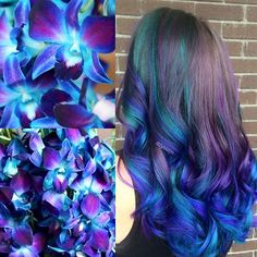 Orchid Hair Color, Blue Dendrobium Orchids, Butter Blonde, Violet Hair Colors, Hair Colors Ideas, Cute Hair Colors