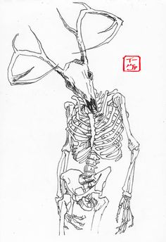 a drawing of a skeleton holding a plant in it's right hand, with chinese writing on the left side