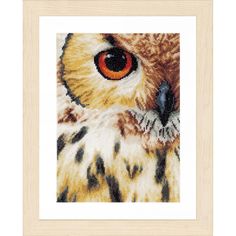 an owl's eye is shown in this cross - stitch pattern with wood frame