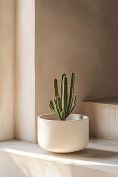 a potted plant sitting on top of a white shelf