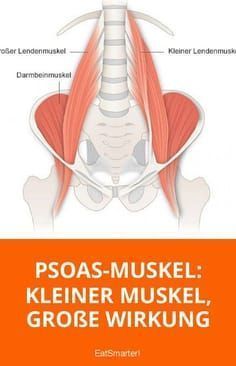 Was du über den Psoas-Muskel wissen solltest Swimmers Ear Remedy, Psoas Release, Tight Hip Flexors, Psoas Muscle, Mobility Exercises, Health Habits, Hip Flexor, Muscle Fitness, Back Pain