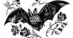 a bat that is sitting on top of a branch with leaves and flowers around it