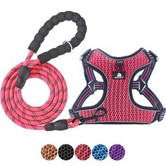 an image of a dog harness and leash set with different color options on white background