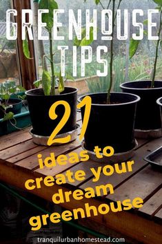 some potted plants sitting on top of a wooden table with text overlay reading 21 green house tips