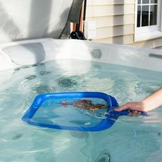 a person is in the water with a blue pool floater and holding a turtle