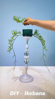 a person is placing something in a vase with green plants on the top and bottom