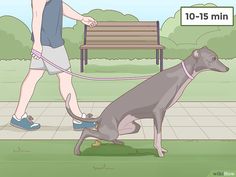 a person walking a dog on a leash in front of a bench with the words 10 - 15 min