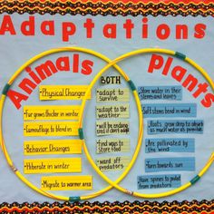 two circles with words describing the different types of animals and plants in them, on a bulletin board