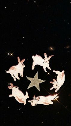 some white rabbits and a star in the dark sky with stars on it's sides