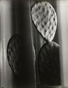 two crackers sitting on top of each other in front of a glass window with light coming through