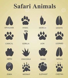 an animal's footprints are shown in black and white, with the names below them