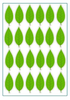 the green leaves are arranged in rows