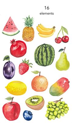 a watercolor drawing of different fruits and vegetables