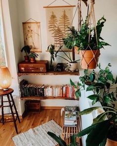 a living room filled with lots of plants and books on top of a wooden table