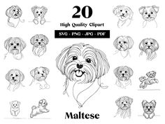 the dog's head is drawn in various poses and sizes, including dogs with long hair