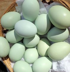 a basket filled with green eggs sitting on top of white paper next to other eggs