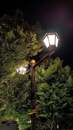 a lamp post in front of some trees at night