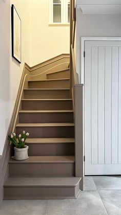 there is a potted plant on the stairs next to the door in this house