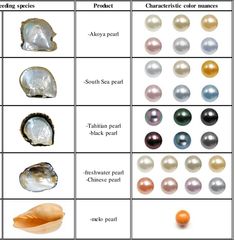 Types Of Pearls, Gemstones Chart, Crystal Wedding Dress, Art Coquillage, Pearl Stone, Minerals And Gemstones, Tahitian Pearls