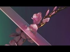 pink flowers on a purple background with the words, future never have you feat me