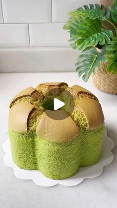 Caroline Tjokro on Instagram: "Siang bestie 👋👋👋
Hari ini bebikin Pandan Chiffon Cake menggunakan oven Signora De Luna apinya panas merata. Karena dah lama gak baking, balik ke 0 lagi 😂 tuh porinya tidak bagus, lupa diuwer2 pake sumpit😆😆😆 emang sih chiffon ini harus sering2 latihan 
Baking Chiffon cake itu gampang2 susah ya…memang betul kalau dari segi bahan dan cara sih keliatan simple ya tapi sebenernya tricky banget…faktor utama pastinya harus memahami kocokan putel yg dibutuhkan untuk chiffon cake itu harus yg bagaimana? Karena tiap jenis kue yg menggunakan putel dikocok terpisah itu gak bisa disamakan semua…beda type cake pastinya beda juga kocokan putelnya…nah untuk chiffon cake firm peaks itu sudah cukup…jangan soft dan jangan stiff peaks…faktor ke 2 adalah suhu oven…chiffon c