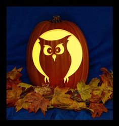 an owl carved into a pumpkin with leaves around it