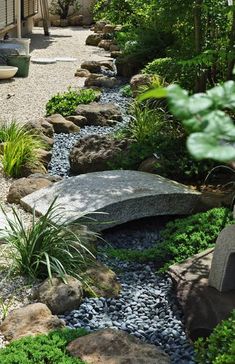 a garden with rocks and plants in it