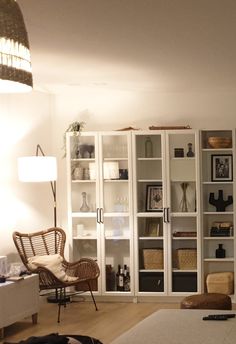 a living room filled with furniture and lots of shelves