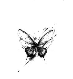 a black and white drawing of a butterfly