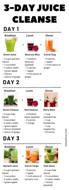 the 3 day juice cleanse recipe