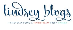 the lindsey blogs logo is shown in blue and orange letters on a white background