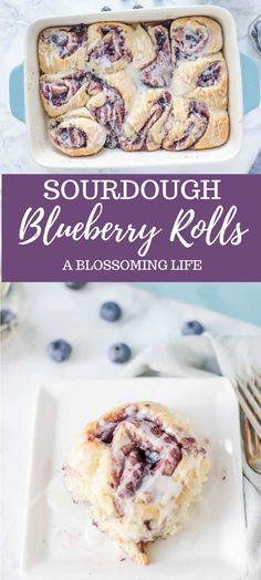 blueberry rolls on a white plate with the title text reads, sourdough blueberry rolls a blossoming life