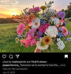 a person holding a bouquet of flowers in their hand with the sun setting behind them