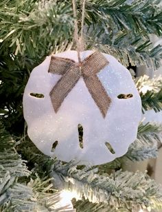 a white sand dollar ornament hanging from a christmas tree with a brown bow