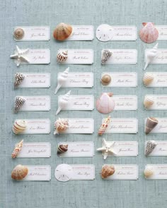 there are many sea shells on the table and place cards for guests to write in