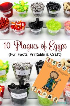 the 10 plagues of egypt fun fact printable and craft project for kids to make